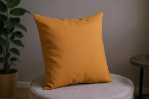 Dekoratyvinė pagalvėlė „Orange“