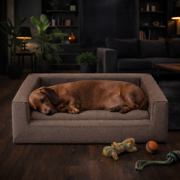 Guolis SLEEPY TAIL (Element05)
